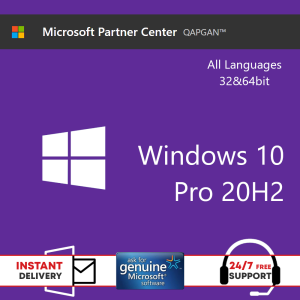 Windows 10 Pro 20H2