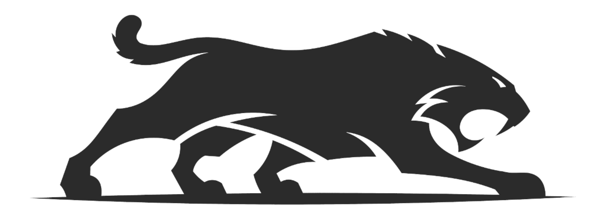 torneo logo